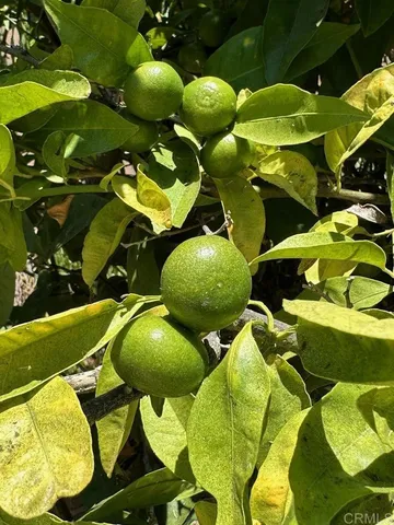 a kitchen with a sink a toilet and a mirror