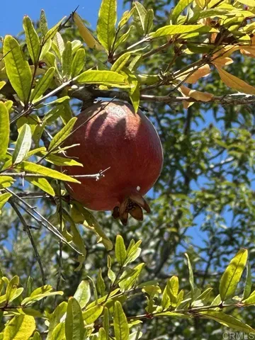 a view of an outdoor space