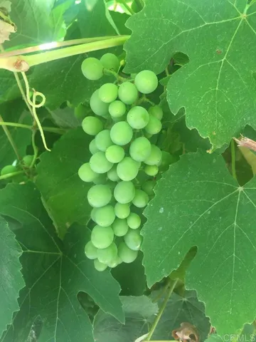 $5,000 | 2880 Murat Street, San Diego, CA 92117