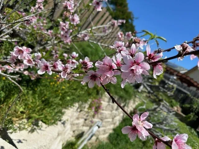 $5,000 | 2880 Murat Street, San Diego, CA 92117