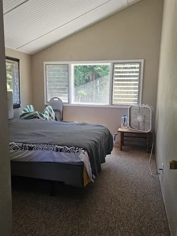 a plant is in front of a house