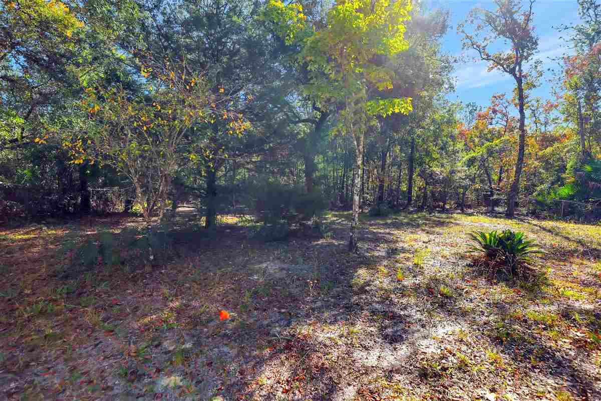 2300 B Pacetti Road St. Augustine, FL 32092 - Photo 10 of 15