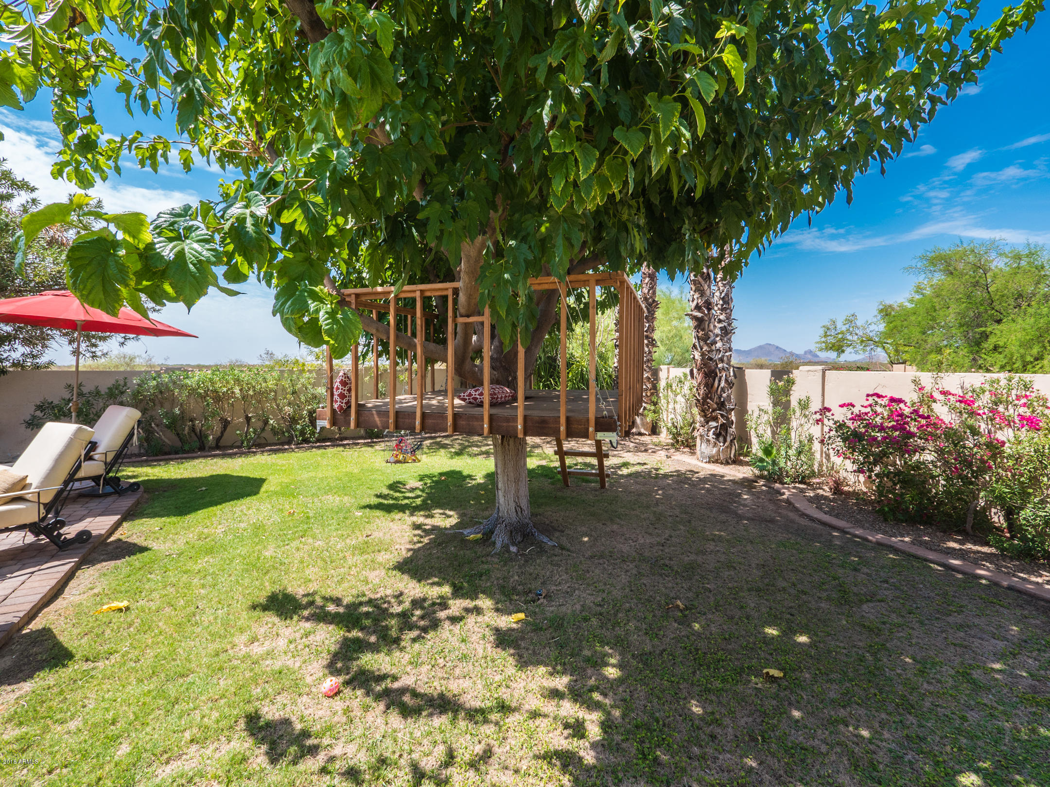 10095 East Doubletree Ranch Road Scottsdale, AZ 85258 - Photo 35 of 45 A Real Tree House
