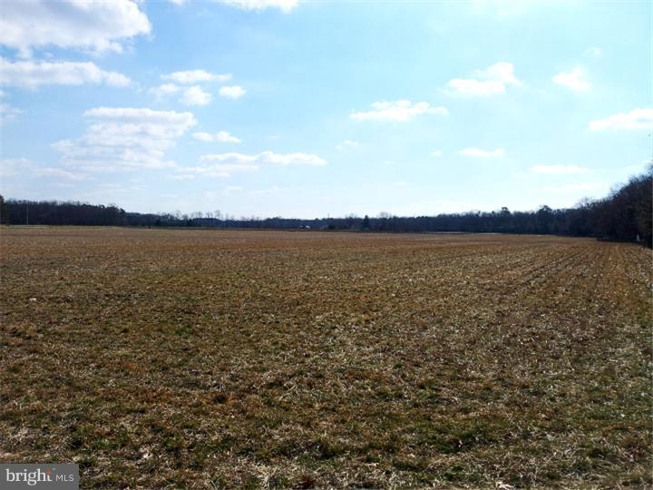 14 Schaffer Road Pittsgrove, NJ 08318 - Photo 11 of 11 View from Front Door