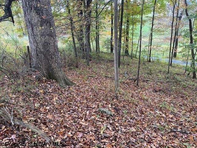 6-acres Hidden Valley Road Jane Lew, WV 26378 - Photo 7 of 10 Gallery Image 7
