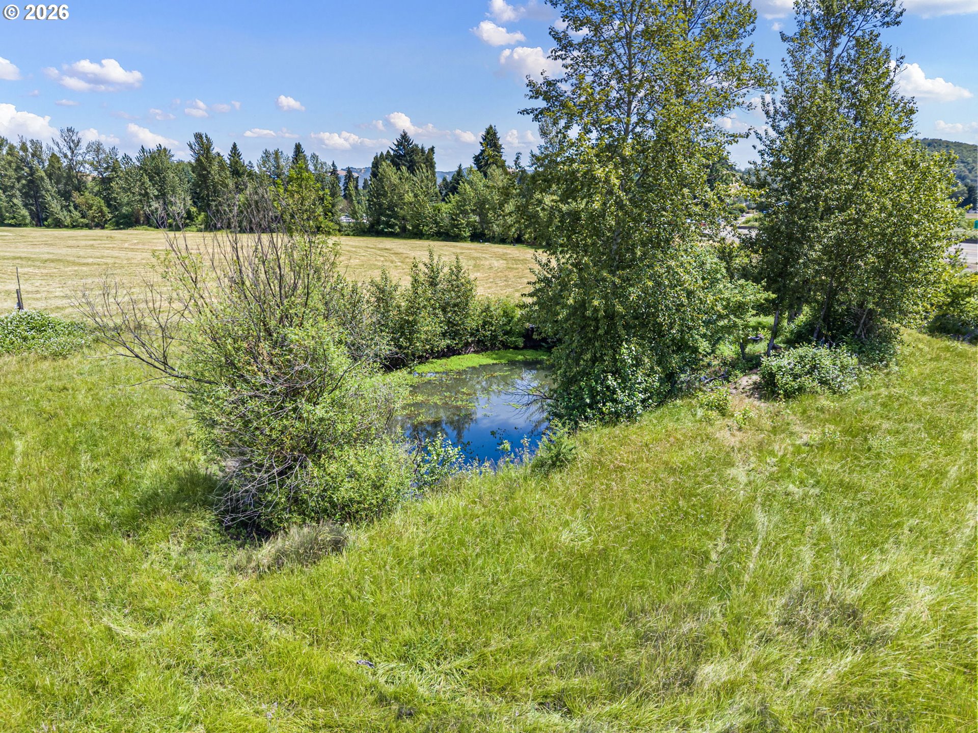 308 Helweg Road Winston, OR 97496 - Photo 48 of 48 Gallery Image 48