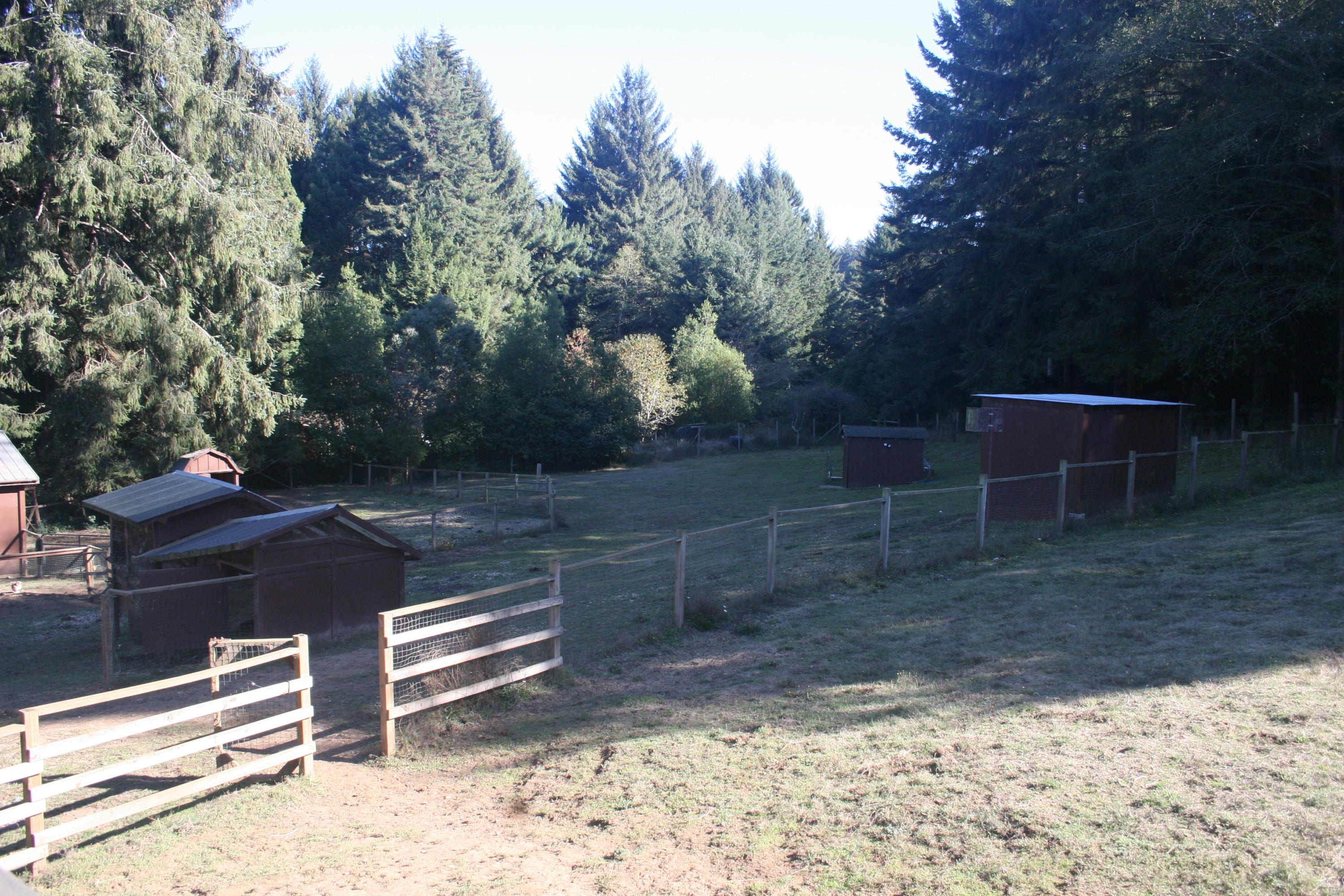 159 Hammer Lane Arcata, CA 95521 - Photo 33 of 40 Property views
