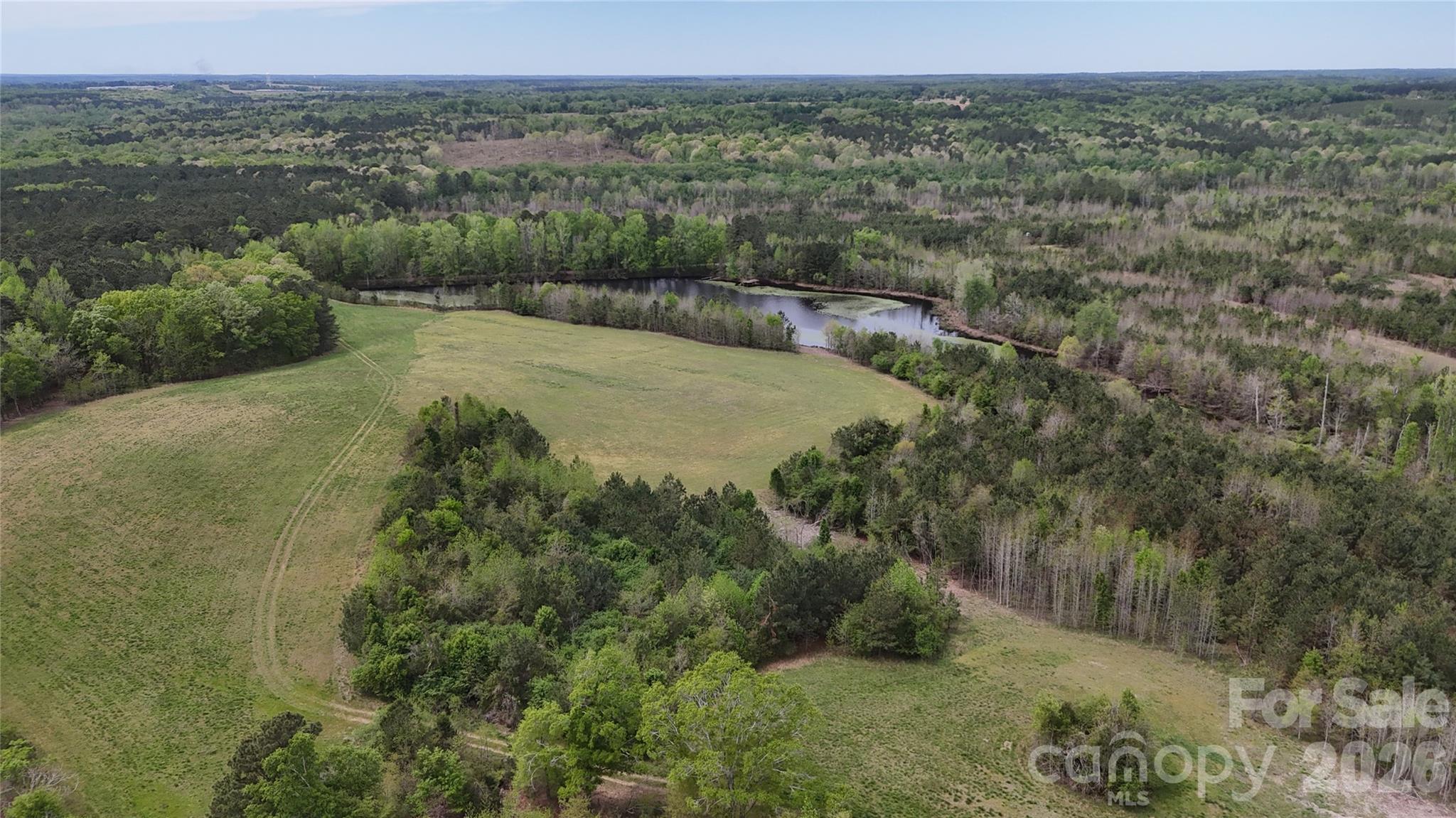 6377 Highway 52 Cheraw, SC 29520 - Photo 11 of 41 a view of a lush green forest with lots of trees