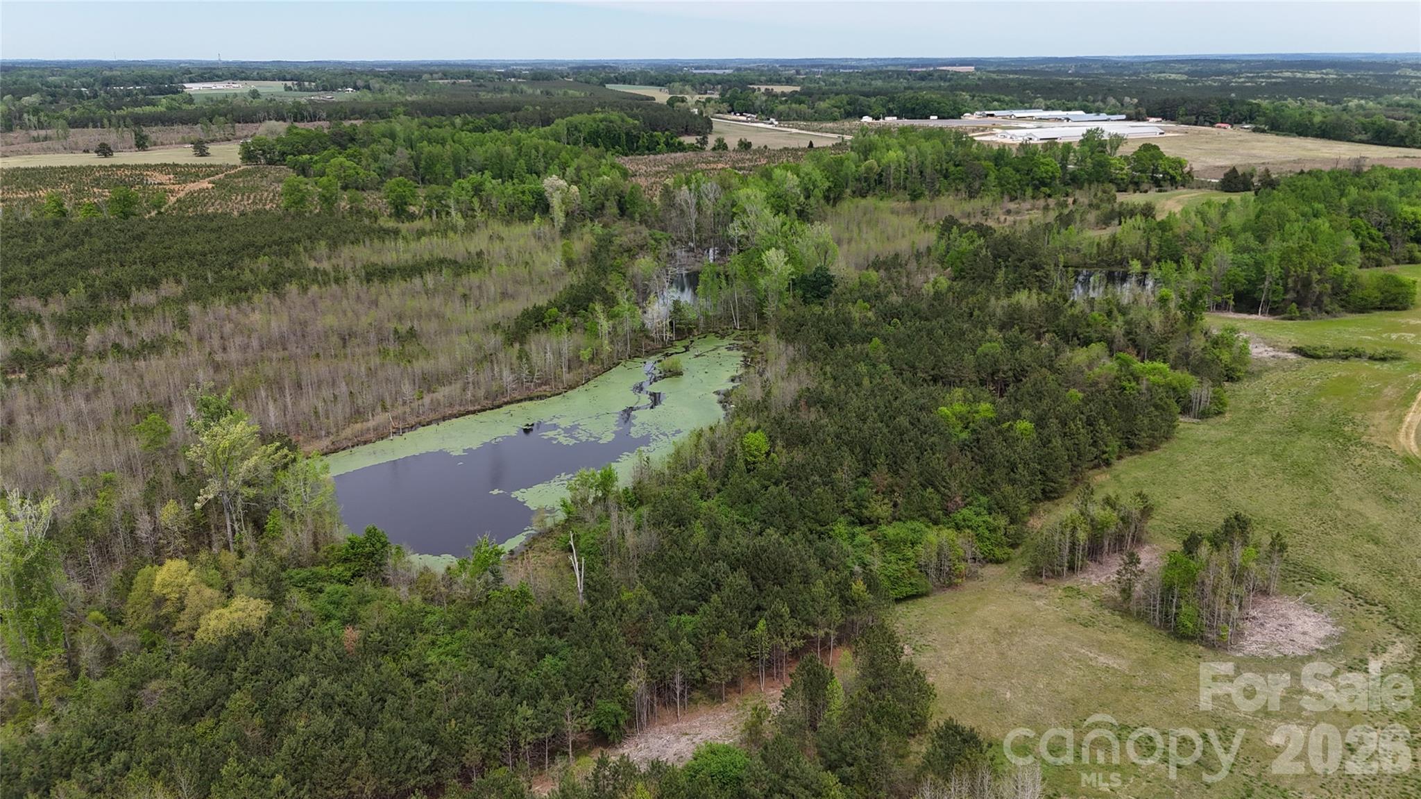 6377 Highway 52 Cheraw, SC 29520 - Photo 13 of 41 an aerial view of residential houses with outdoor space and trees