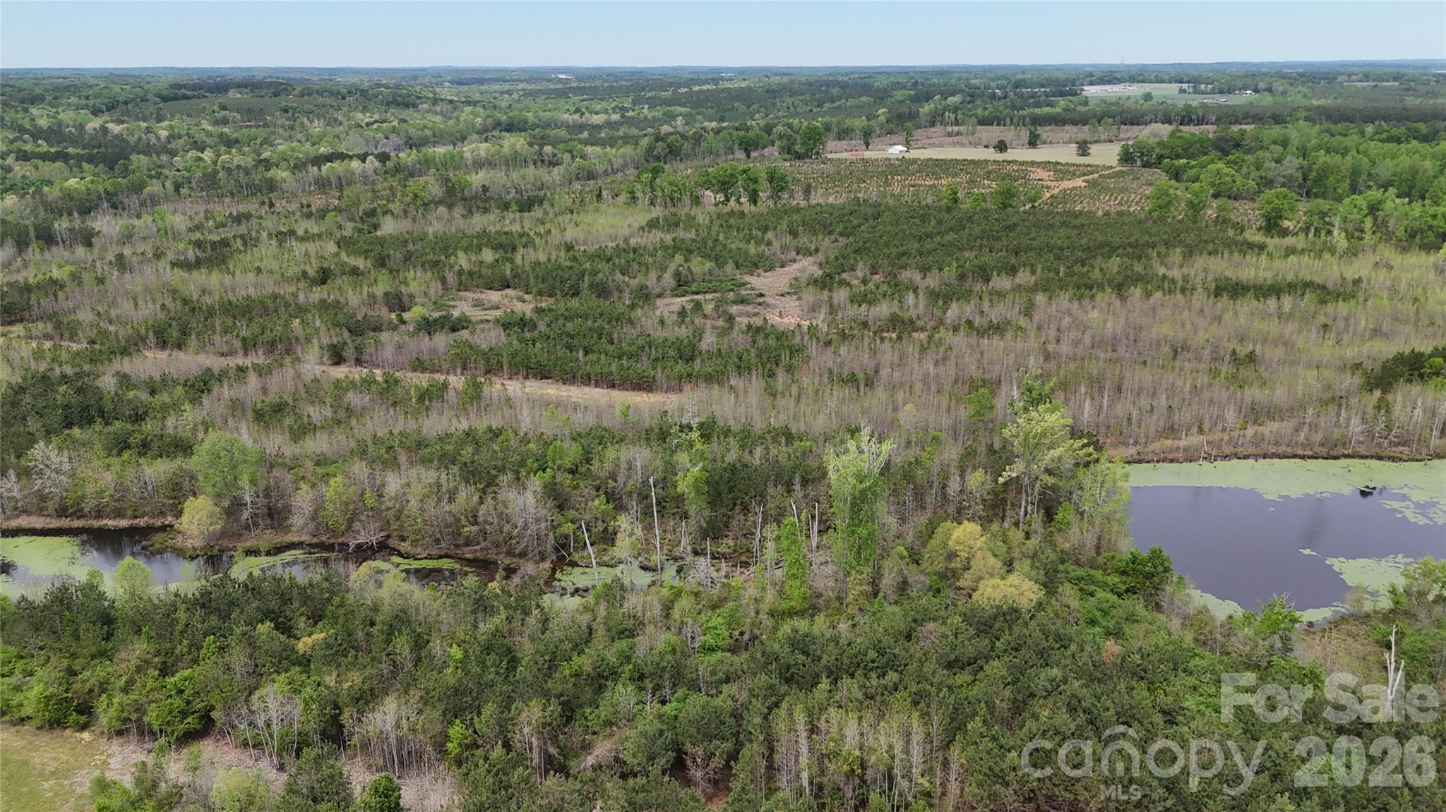 6377 Highway 52 Cheraw, SC 29520 - Photo 14 of 41 a view of a lake with a yard and large trees