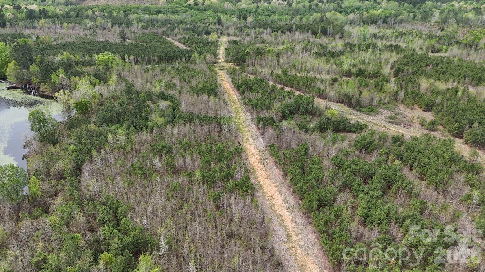 6377 Highway 52 Cheraw, SC 29520 - Photo 16 of 41 a view of a forest with a lake