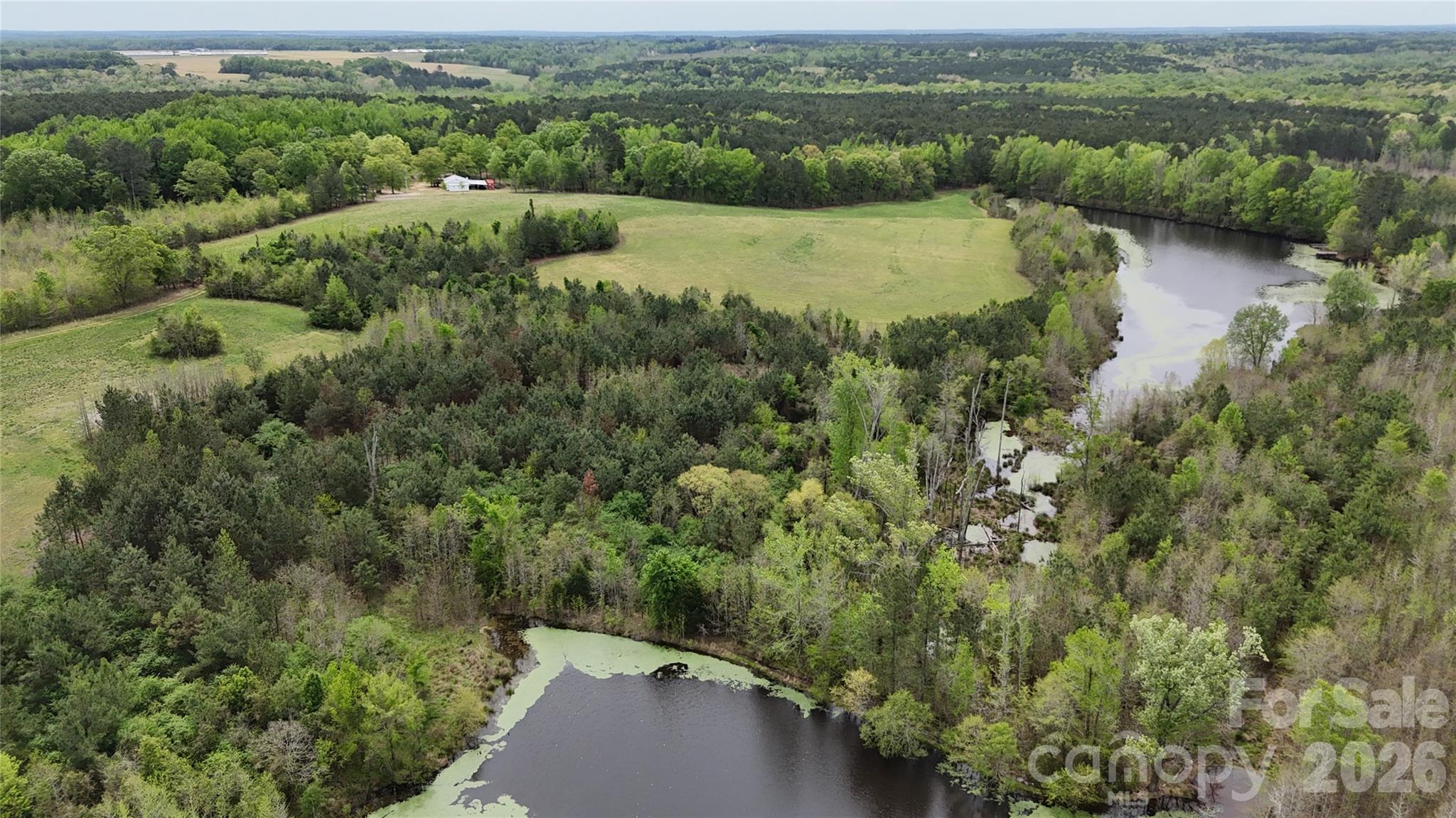 6377 Highway 52 Cheraw, SC 29520 - Photo 21 of 41 an aerial view of green landscape with trees houses and lake view