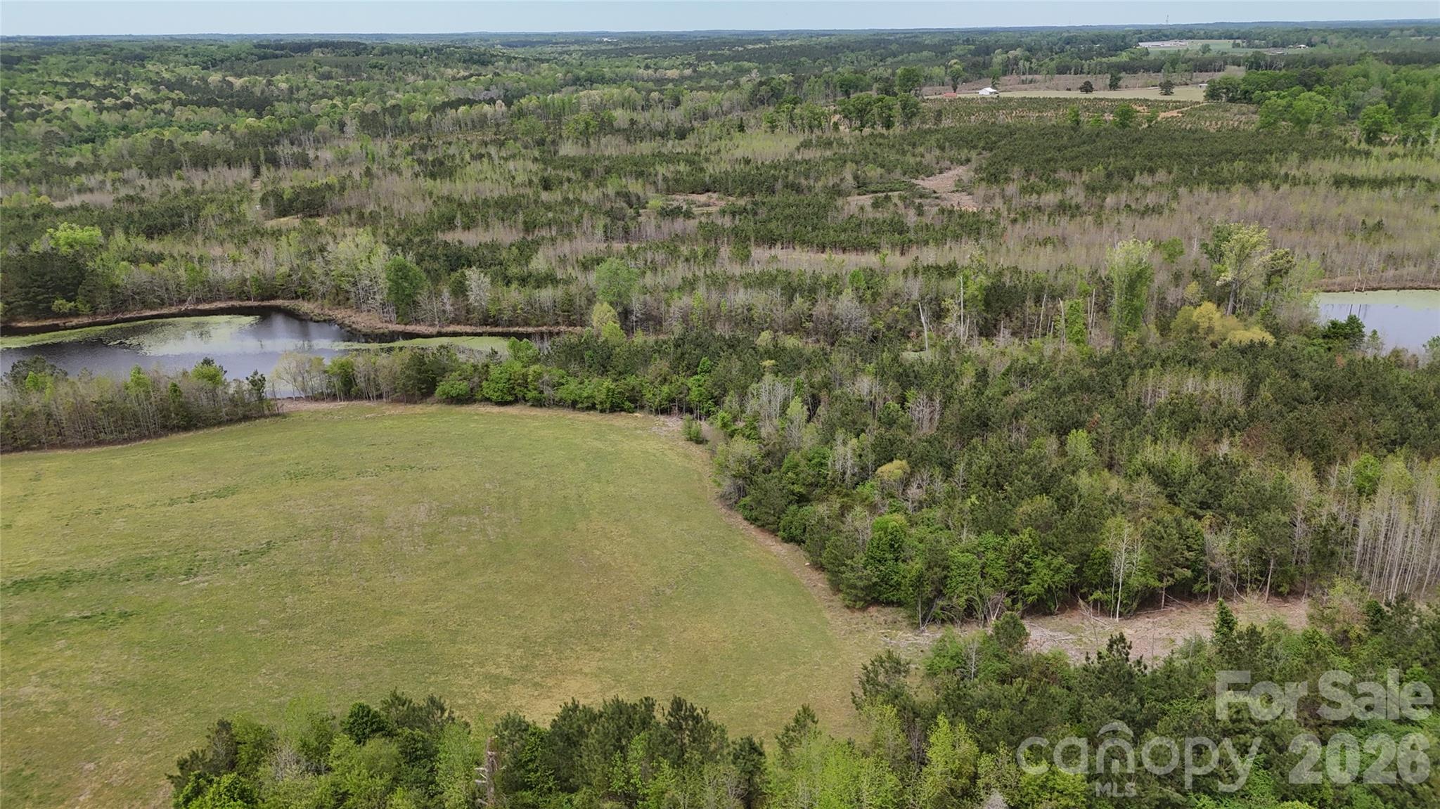 6377 Highway 52 Cheraw, SC 29520 - Photo 23 of 41 a view of a lake view