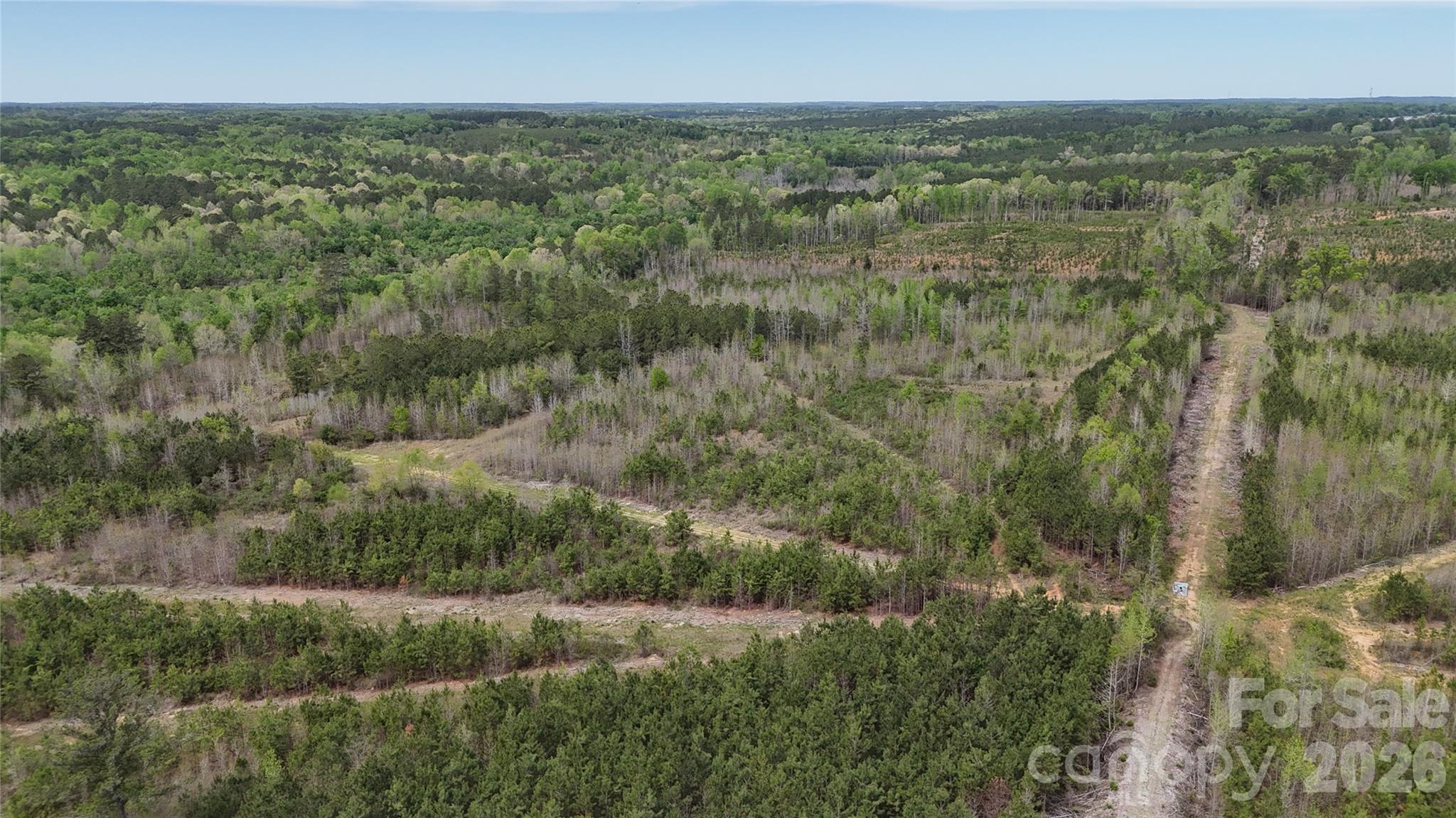 6377 Highway 52 Cheraw, SC 29520 - Photo 25 of 41 a view of a field of grass and trees