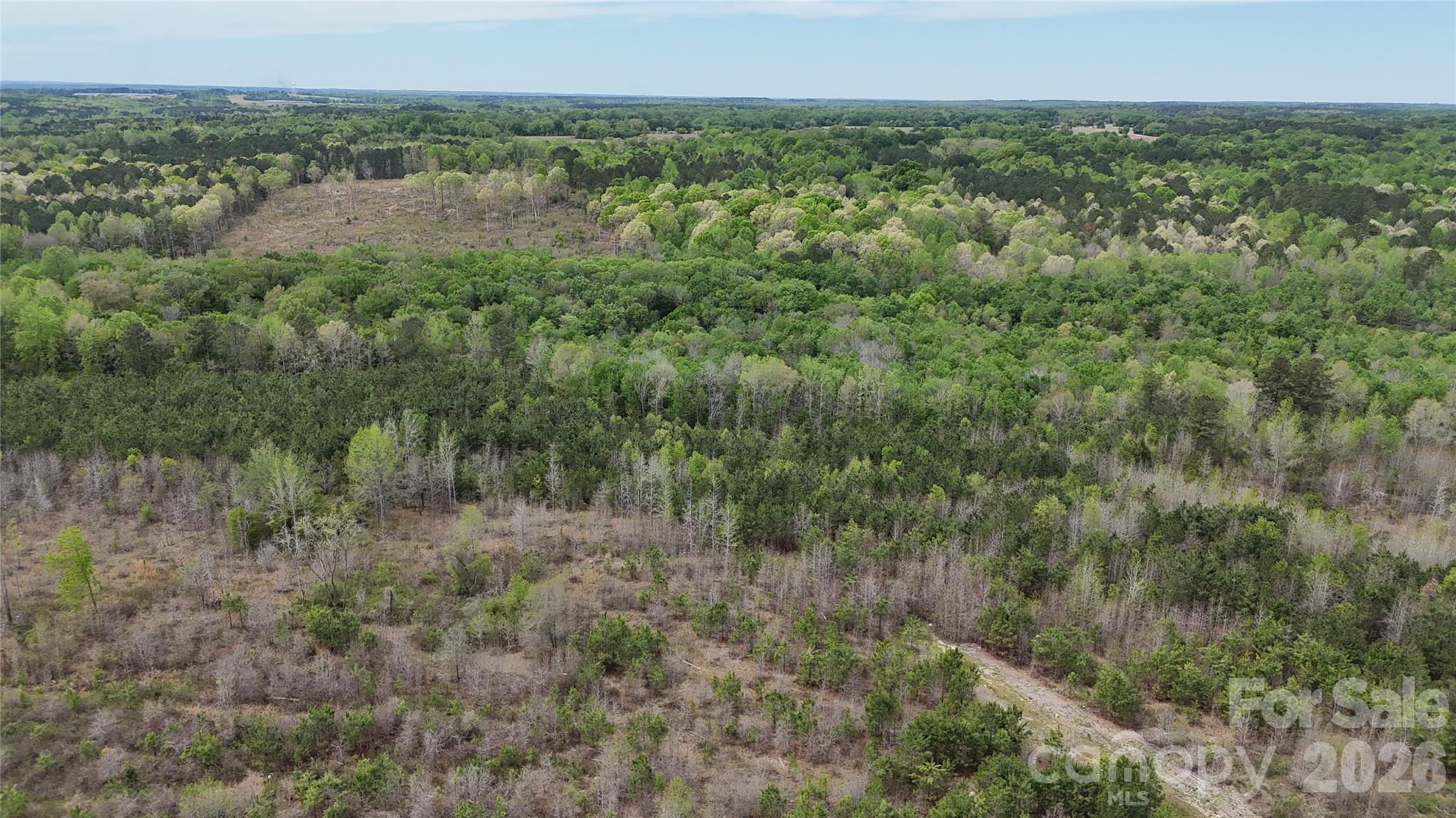 6377 Highway 52 Cheraw, SC 29520 - Photo 26 of 41 a view of a field of grass and trees