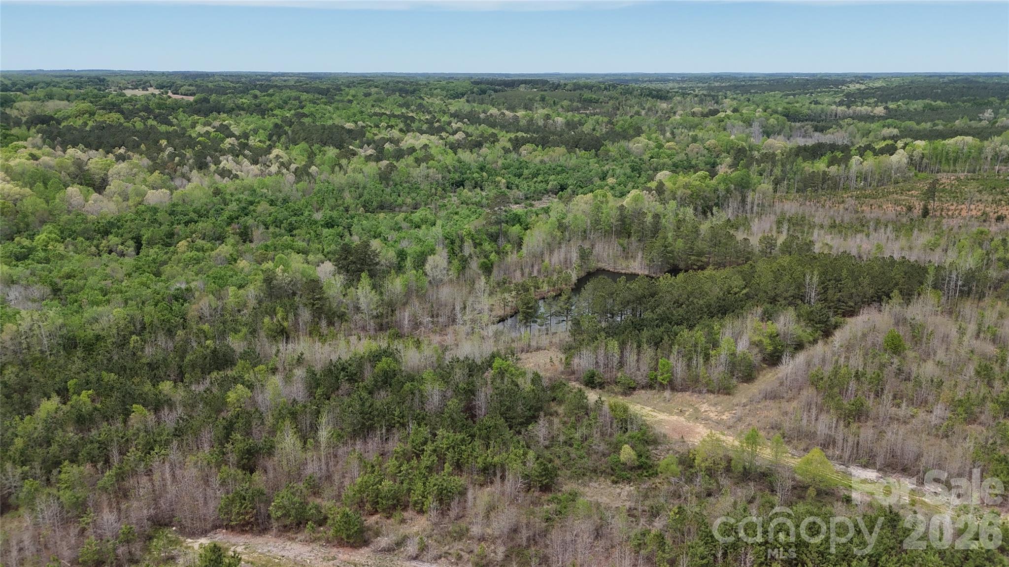 6377 Highway 52 Cheraw, SC 29520 - Photo 27 of 41 a view of a forest with a street