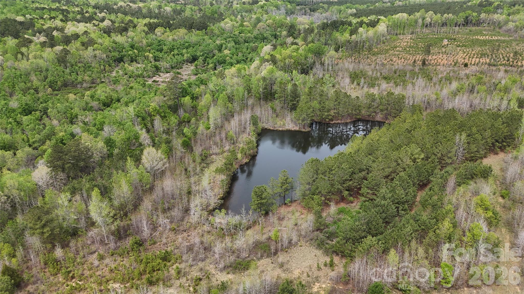 6377 Highway 52 Cheraw, SC 29520 - Photo 28 of 41 a view of lake with green space