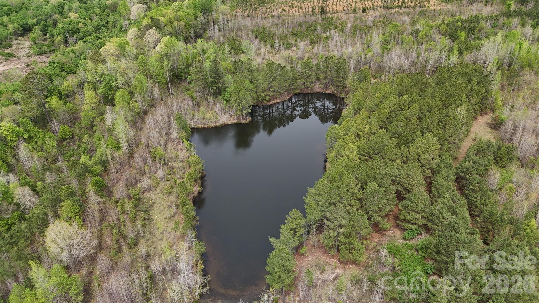 6377 Highway 52 Cheraw, SC 29520 - Photo 29 of 41 a view of a lake with a house