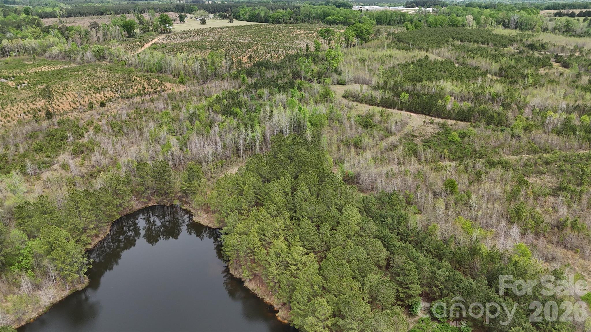 6377 Highway 52 Cheraw, SC 29520 - Photo 30 of 41 a view of a forest with a yard