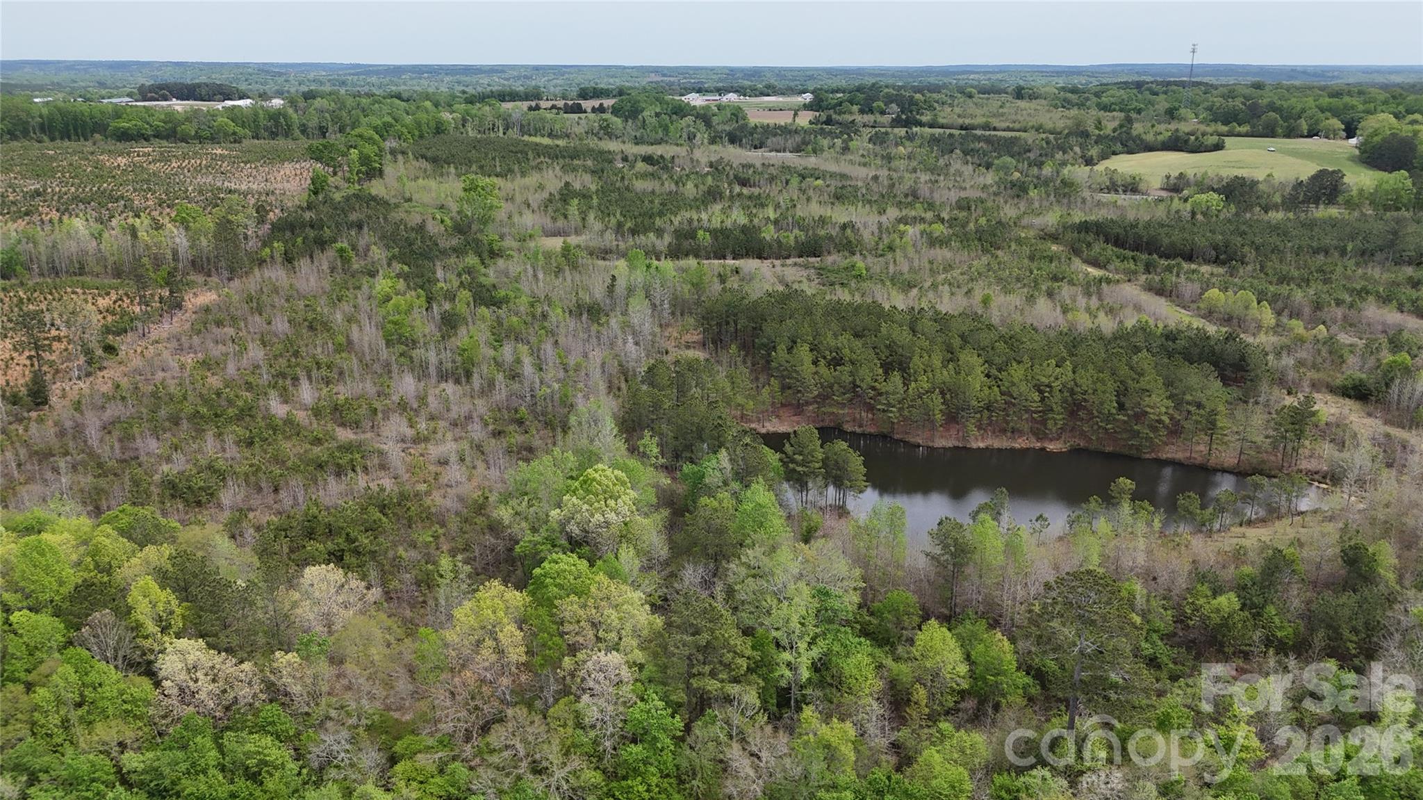 6377 Highway 52 Cheraw, SC 29520 - Photo 31 of 41 a view of lake with green space