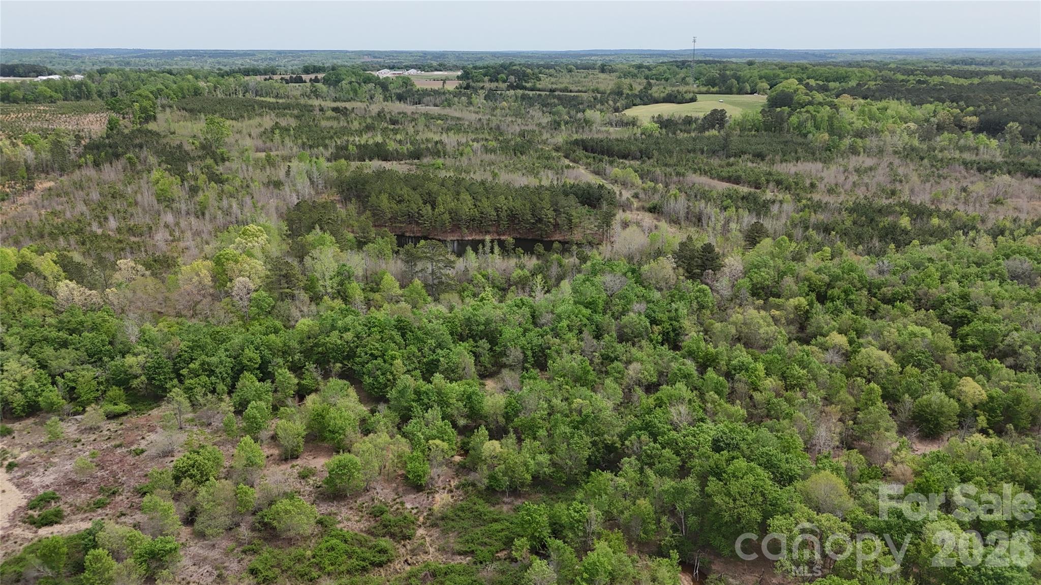 6377 Highway 52 Cheraw, SC 29520 - Photo 32 of 41 an aerial view of forest
