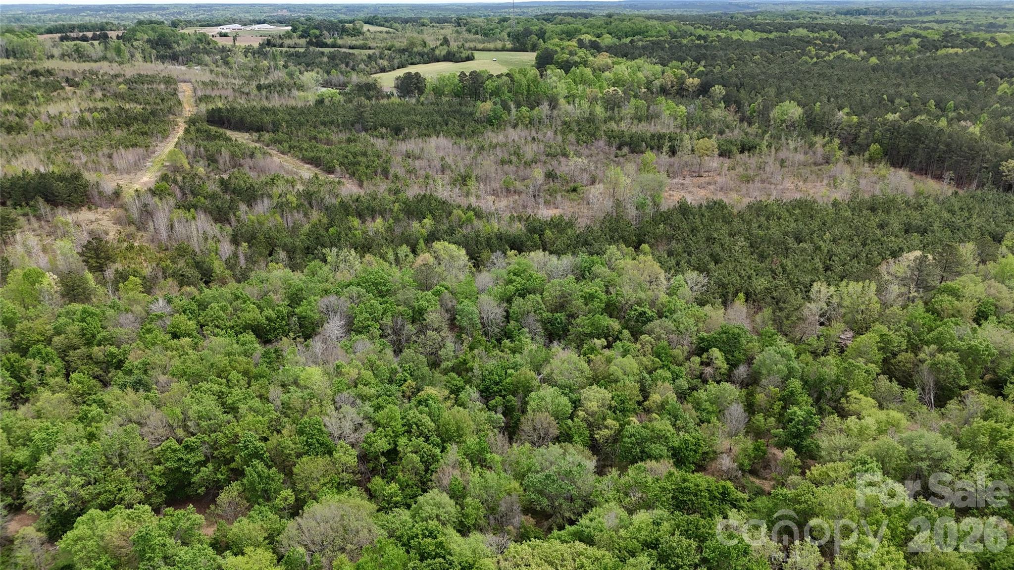 6377 Highway 52 Cheraw, SC 29520 - Photo 34 of 41 an aerial view of residential houses with outdoor space and trees