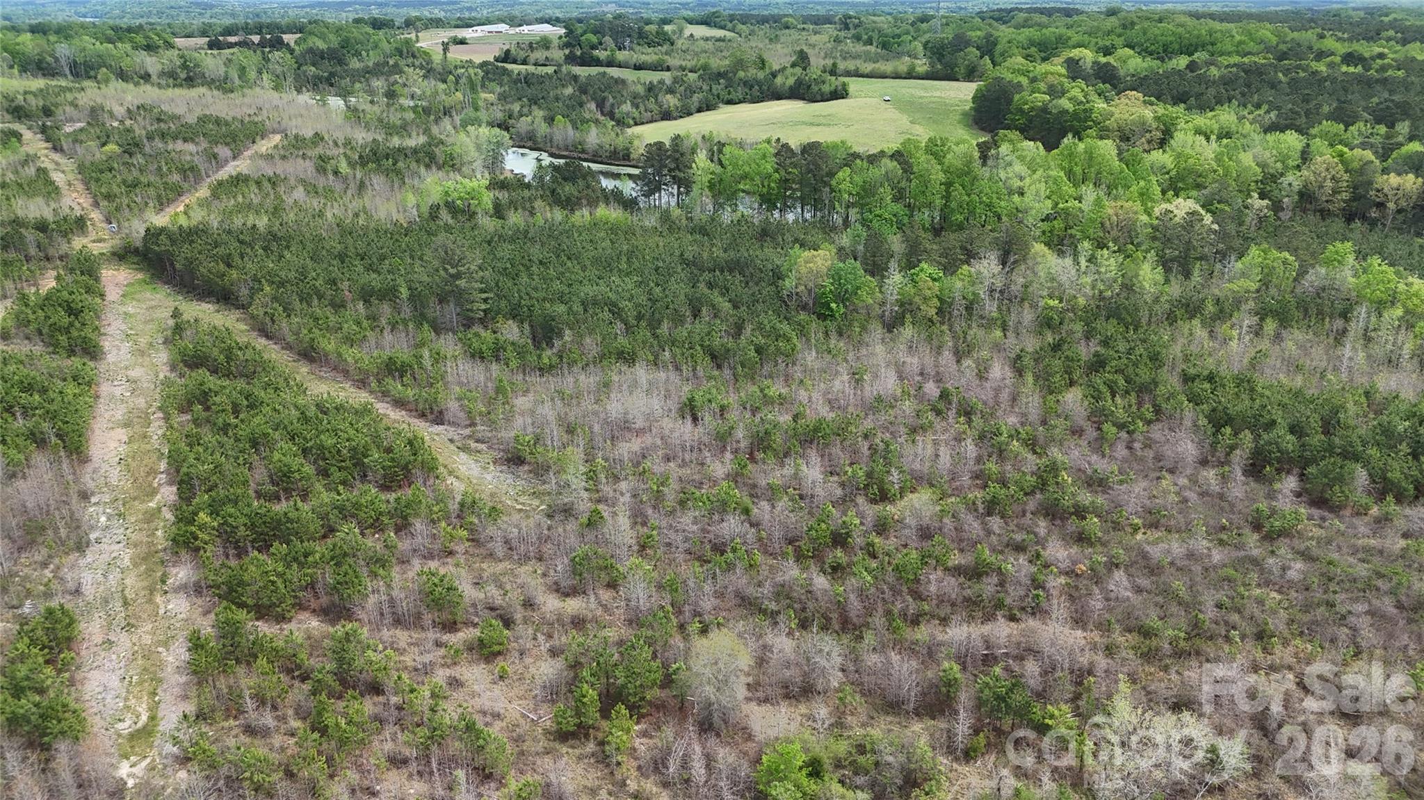 6377 Highway 52 Cheraw, SC 29520 - Photo 35 of 41 an aerial view of residential houses with outdoor space and trees