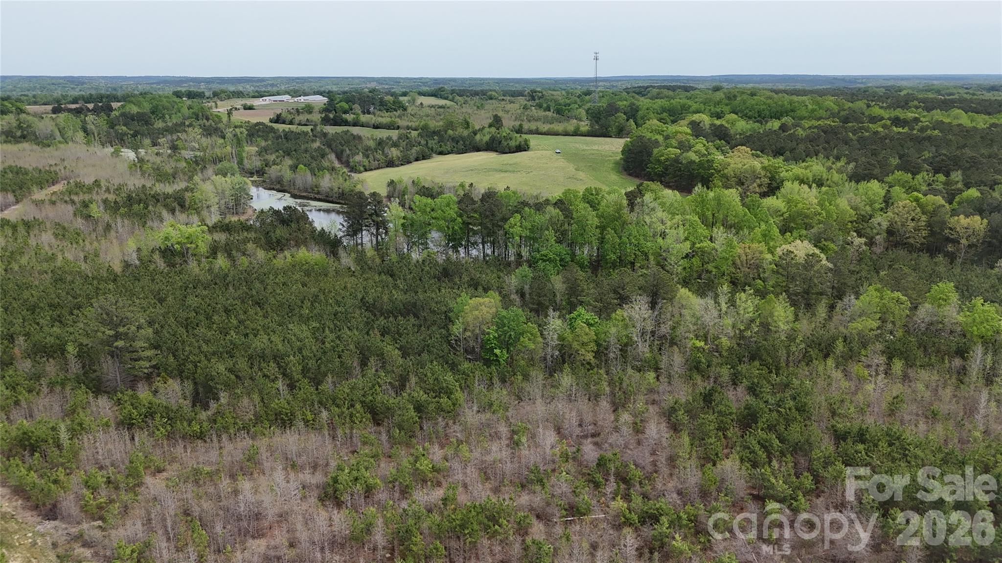 6377 Highway 52 Cheraw, SC 29520 - Photo 36 of 41 a view of a green field with lots of bushes