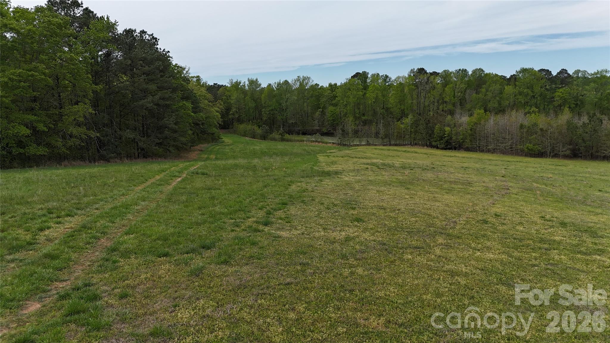 6377 Highway 52 Cheraw, SC 29520 - Photo 41 of 41 a view of a field with trees in the background