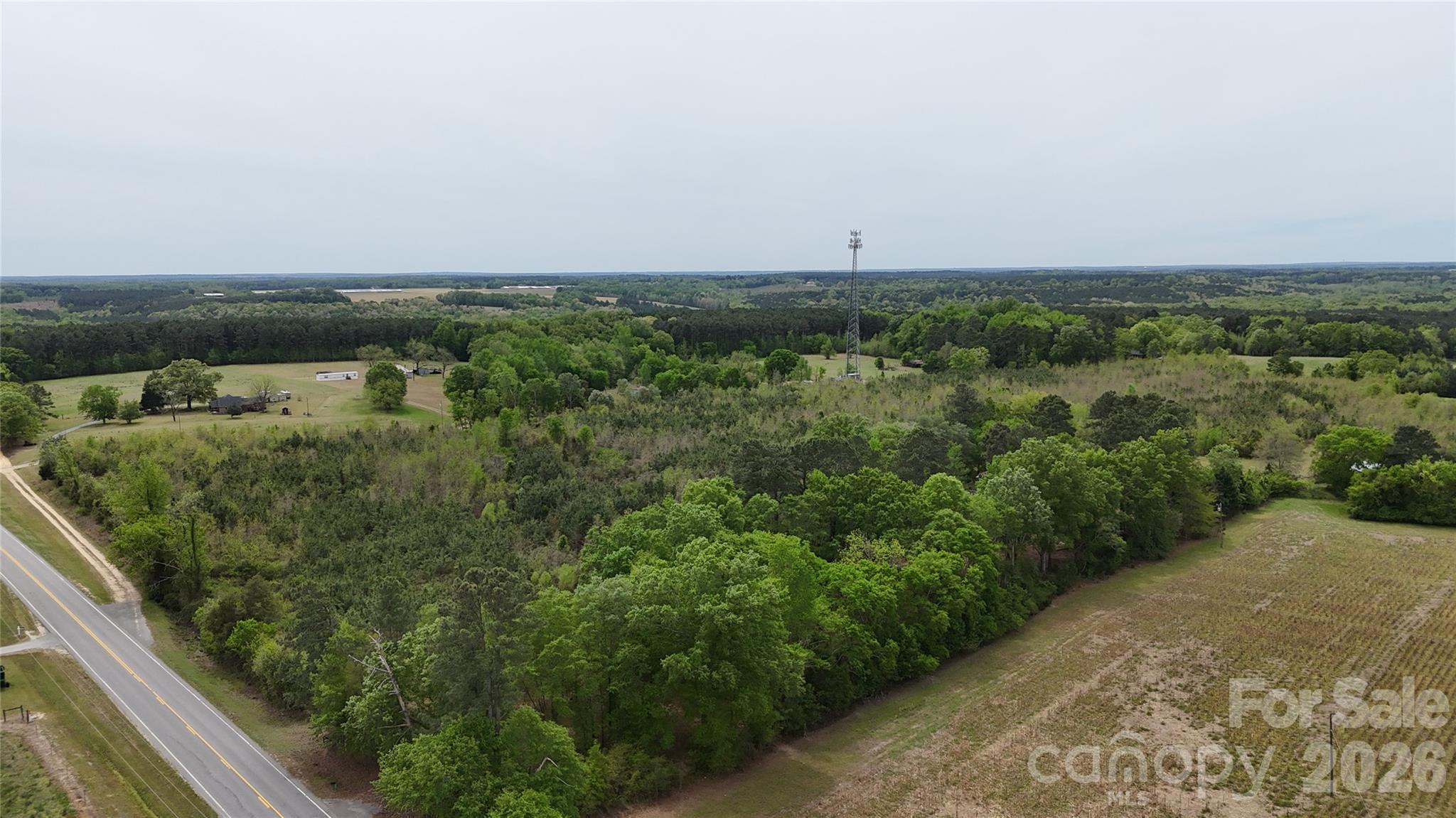 6377 Highway 52 Cheraw, SC 29520 - Photo 5 of 41 a view of a field of grass and trees