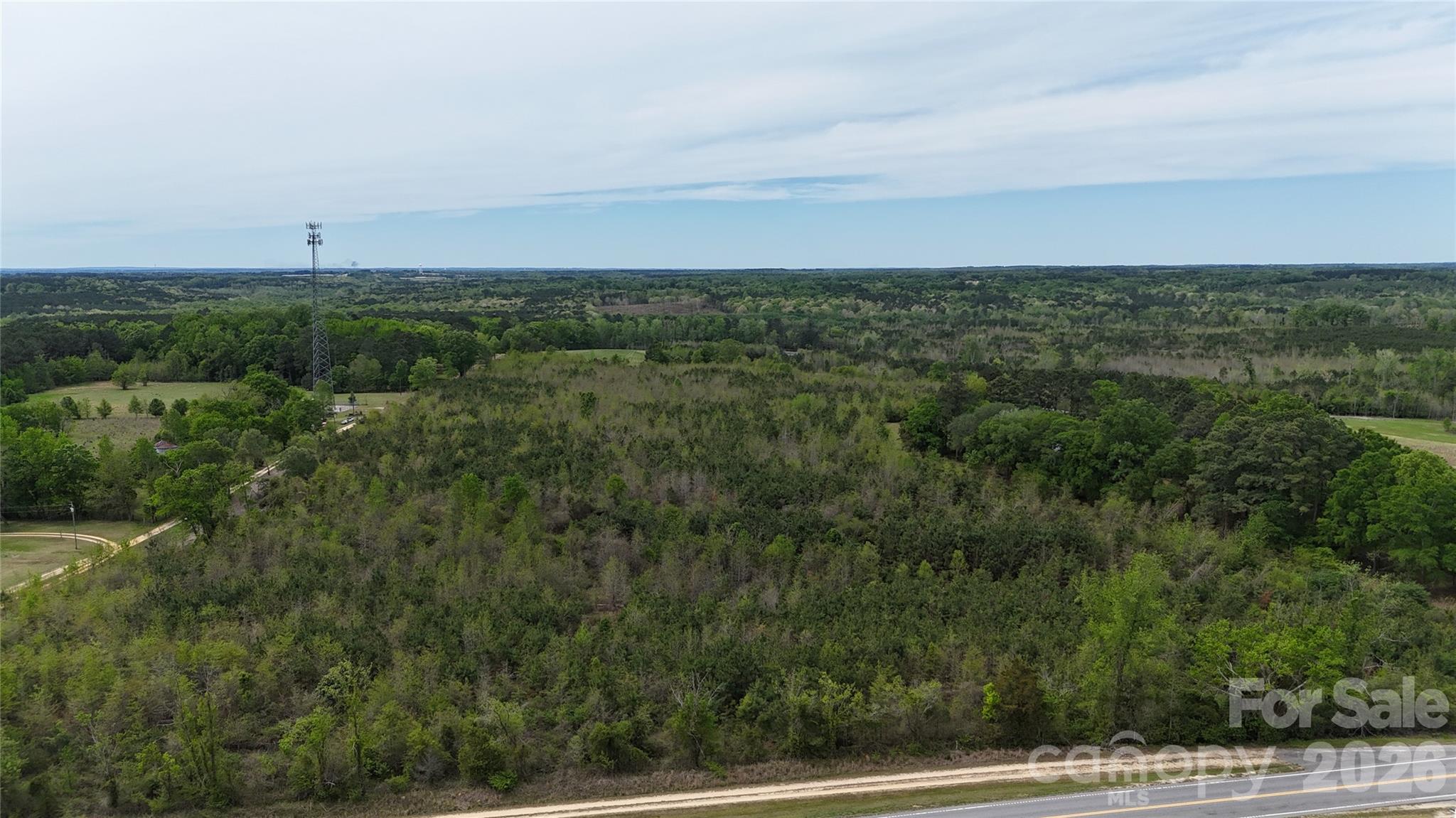 6377 Highway 52 Cheraw, SC 29520 - Photo 7 of 41 a view of a field with trees in background