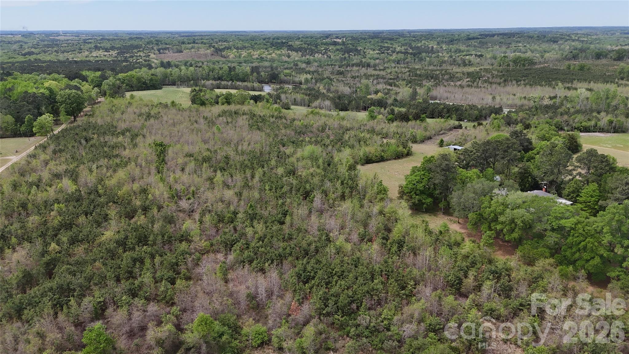 6377 Highway 52 Cheraw, SC 29520 - Photo 8 of 41 an aerial view of forest