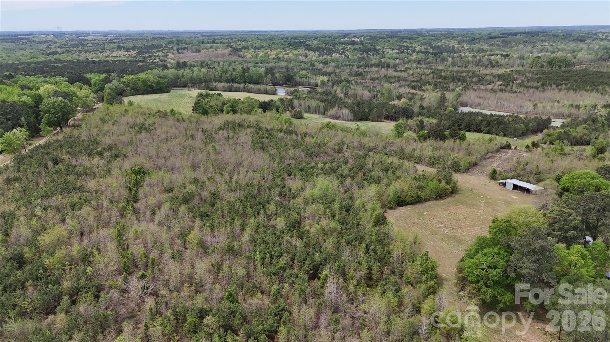 6377 Highway 52 Cheraw, SC 29520 - Photo 9 of 41 an aerial view of forest