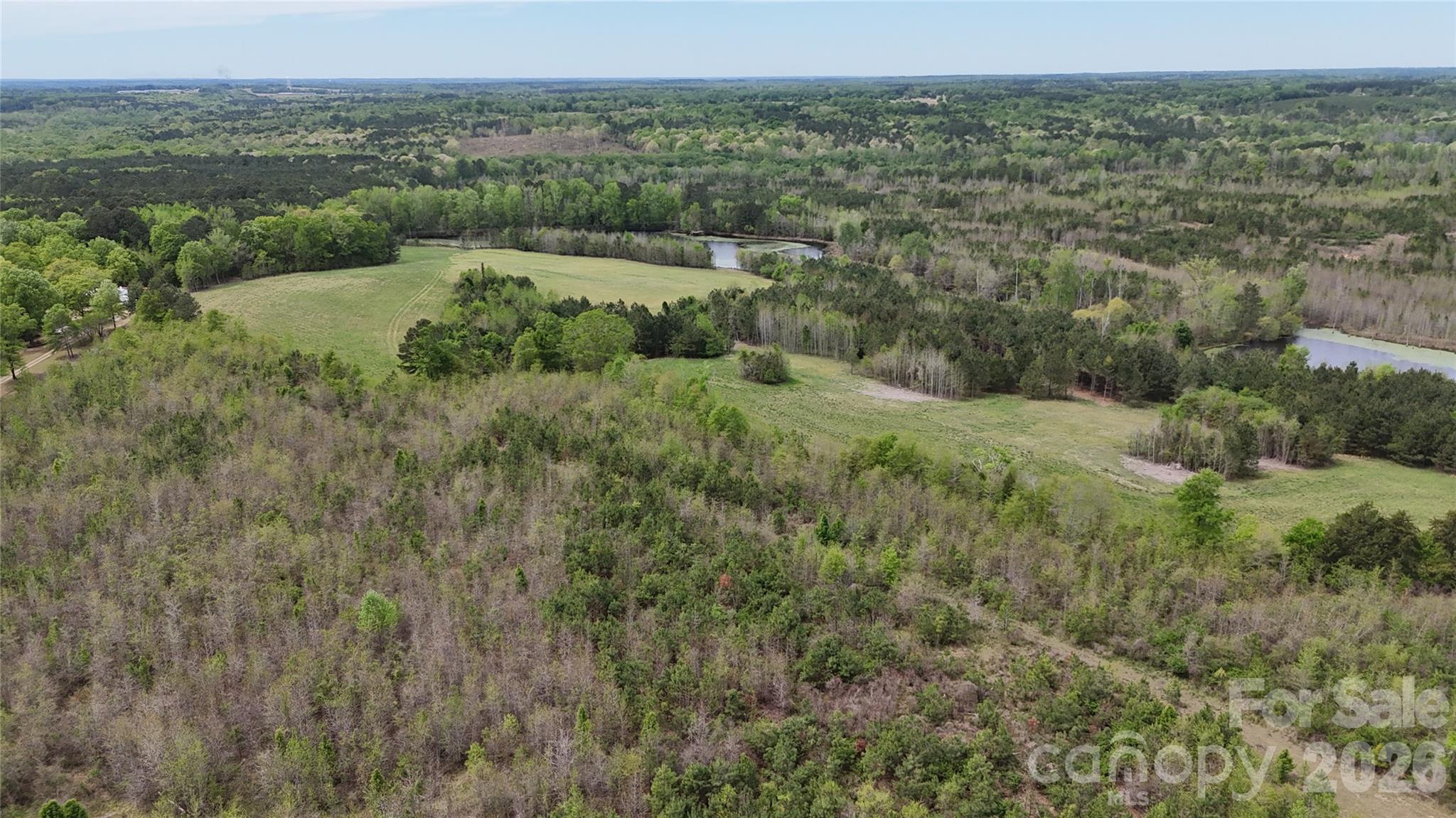 6377 Highway 52 Cheraw, SC 29520 - Photo 10 of 41 a view of a lush green field