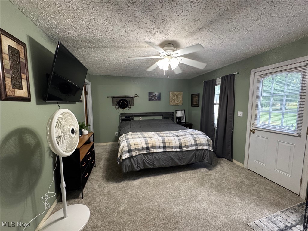 5322 Lockwood Road Madison, OH 44057 - Photo 15 of 30 Bedroom with carpet flooring, and ceiling fan