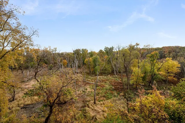 a view of a yard with trees in the background