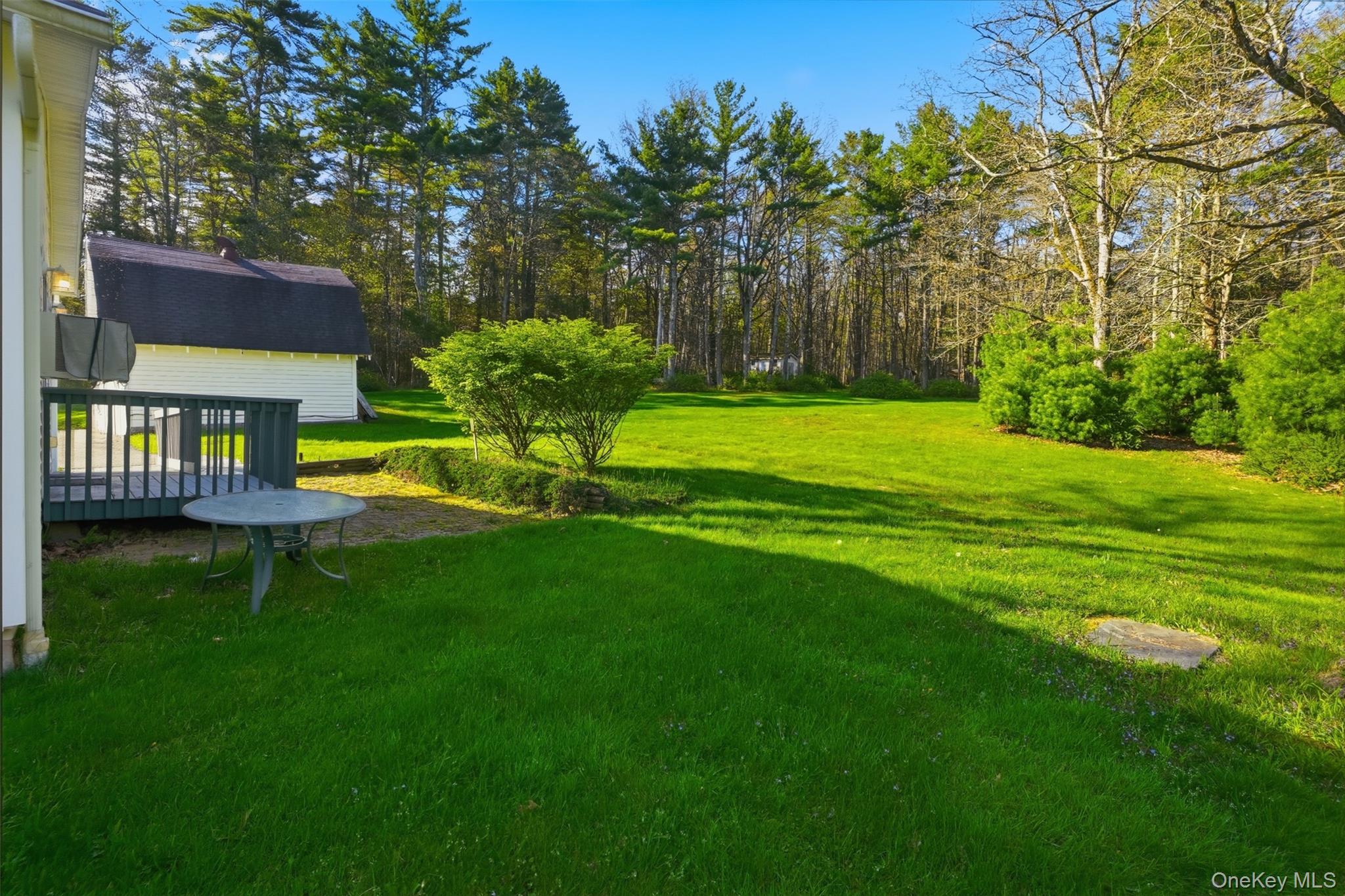 114 Proctor Road Eldred, NY 12732 - Photo 35 of 38 a view of a house with a big yard and a large tree