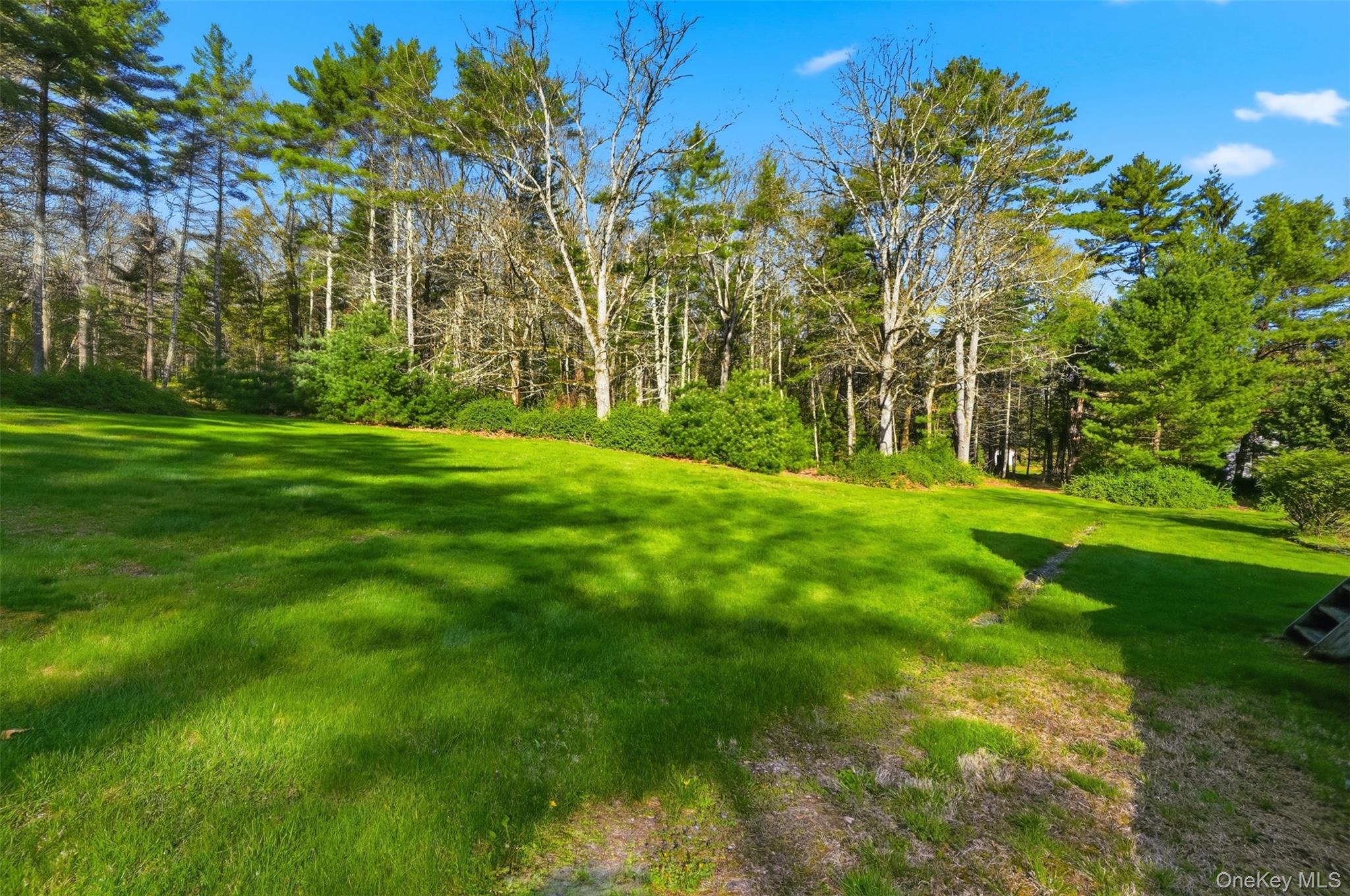 114 Proctor Road Eldred, NY 12732 - Photo 36 of 38 a view of a yard with a trees