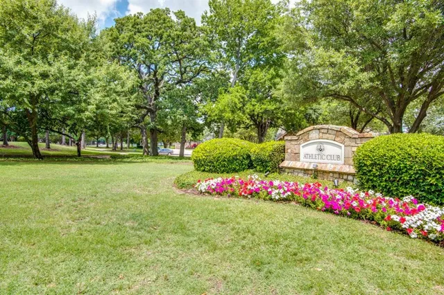 a bunch of flowers and trees in a park