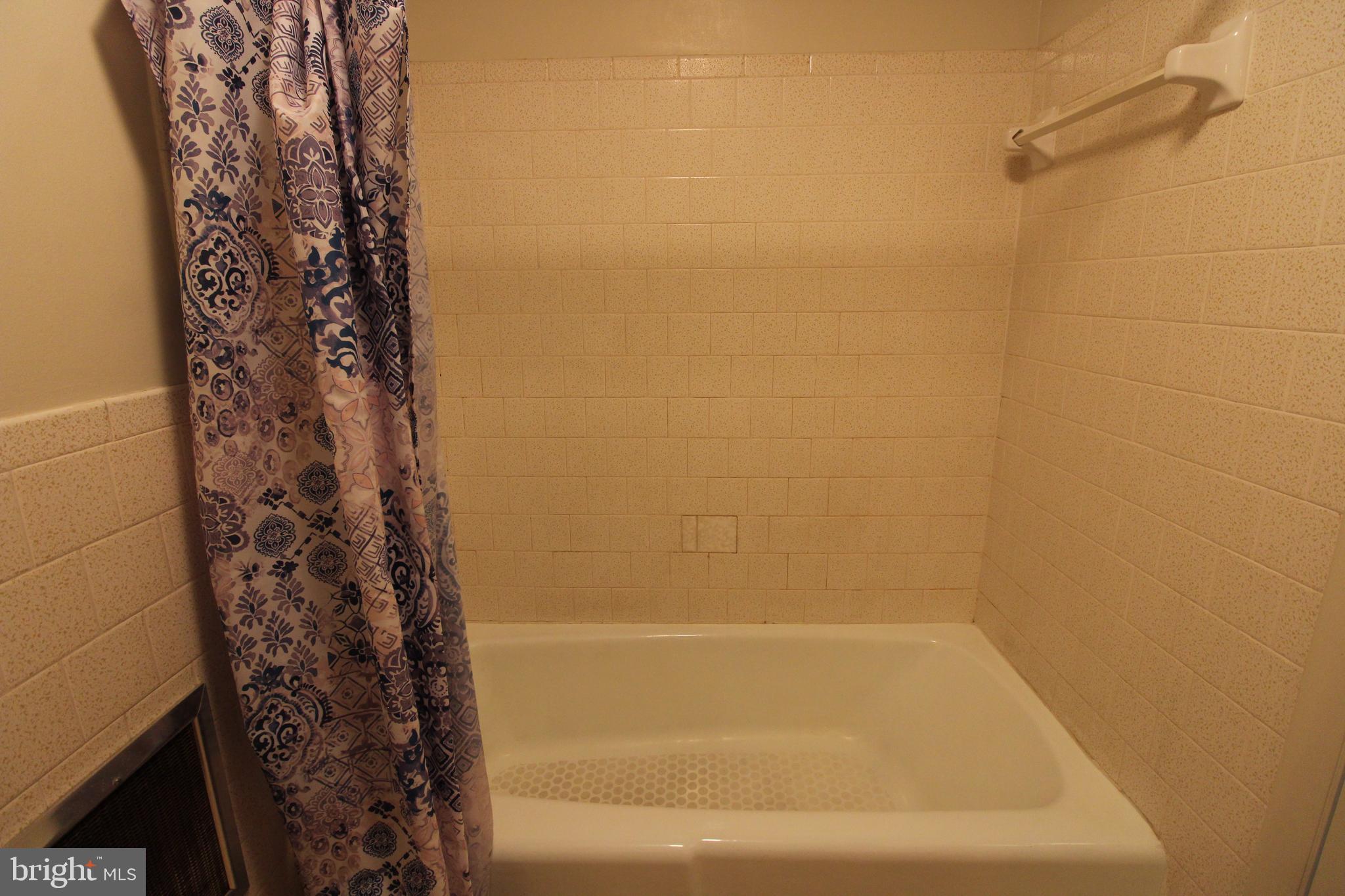 18947 Senedo Road, Unit 4 Edinburg, VA 22824 - Photo 10 of 15 a bathroom with a shower