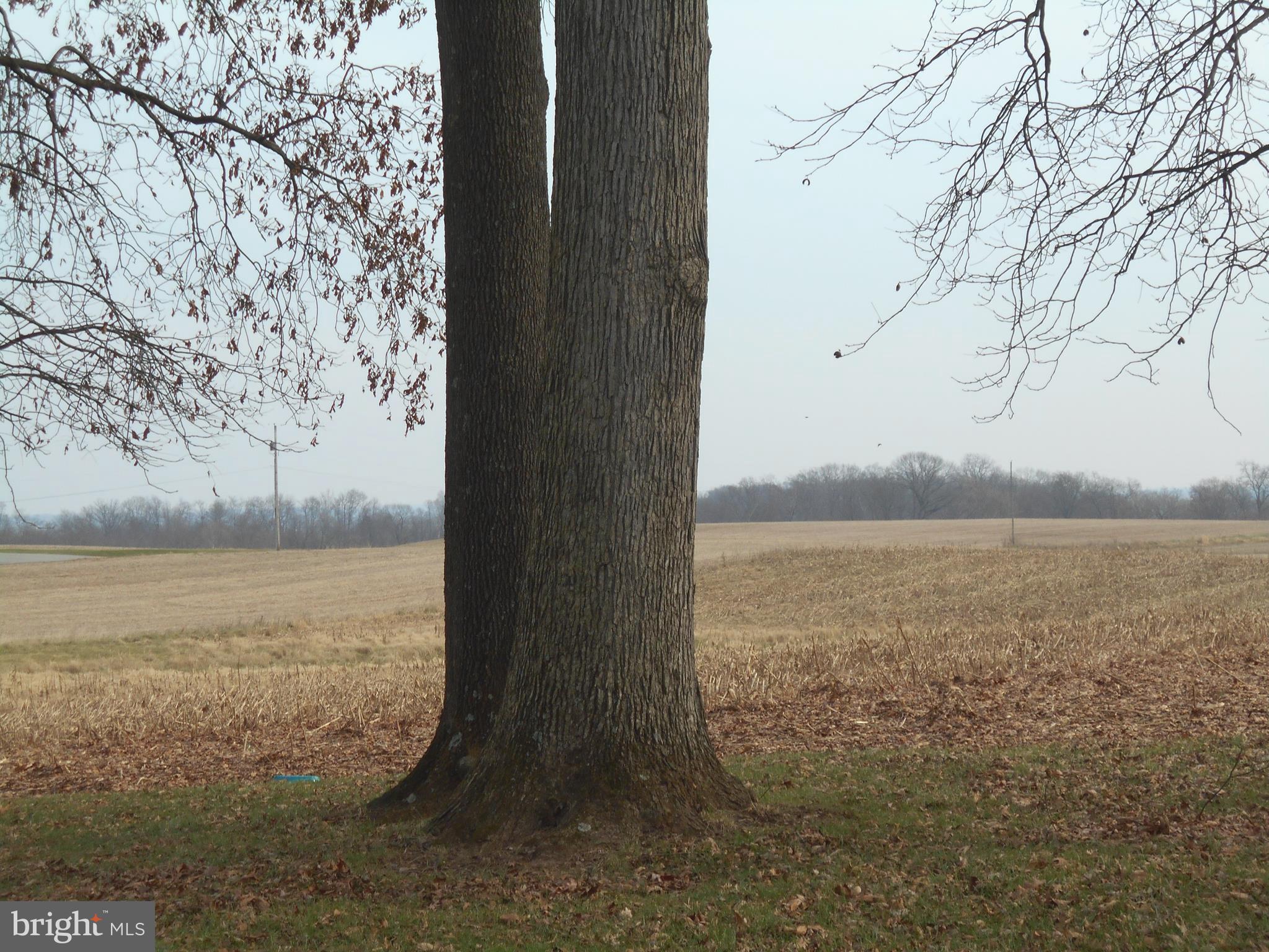 1815 Crouse Mill Road Taneytown, MD 21787 - Photo 26 of 34 Gallery Image 26