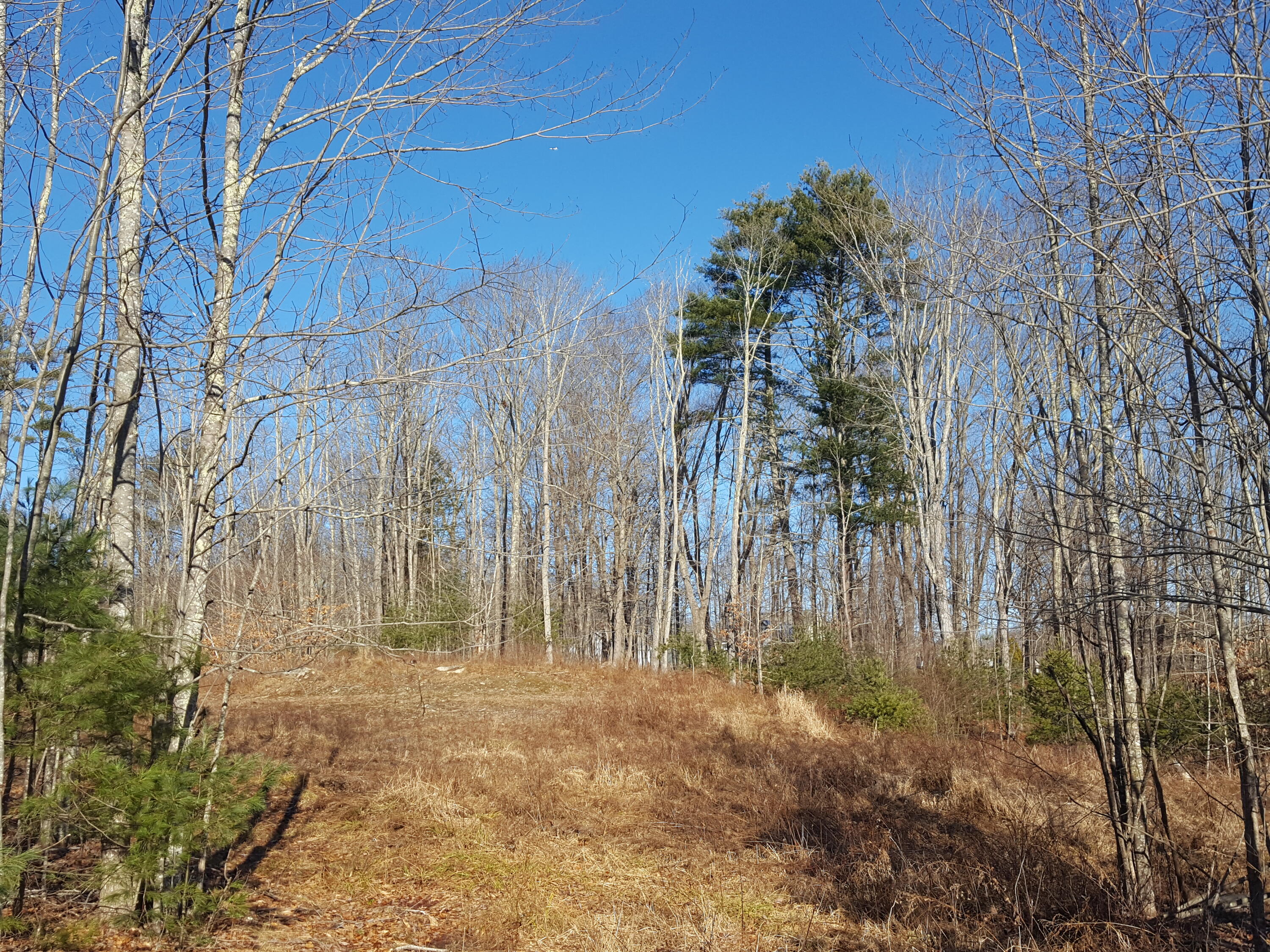 88 Mitchell Hill Road Gorham, ME 04038 - Photo 60 of 99 20231220_115001