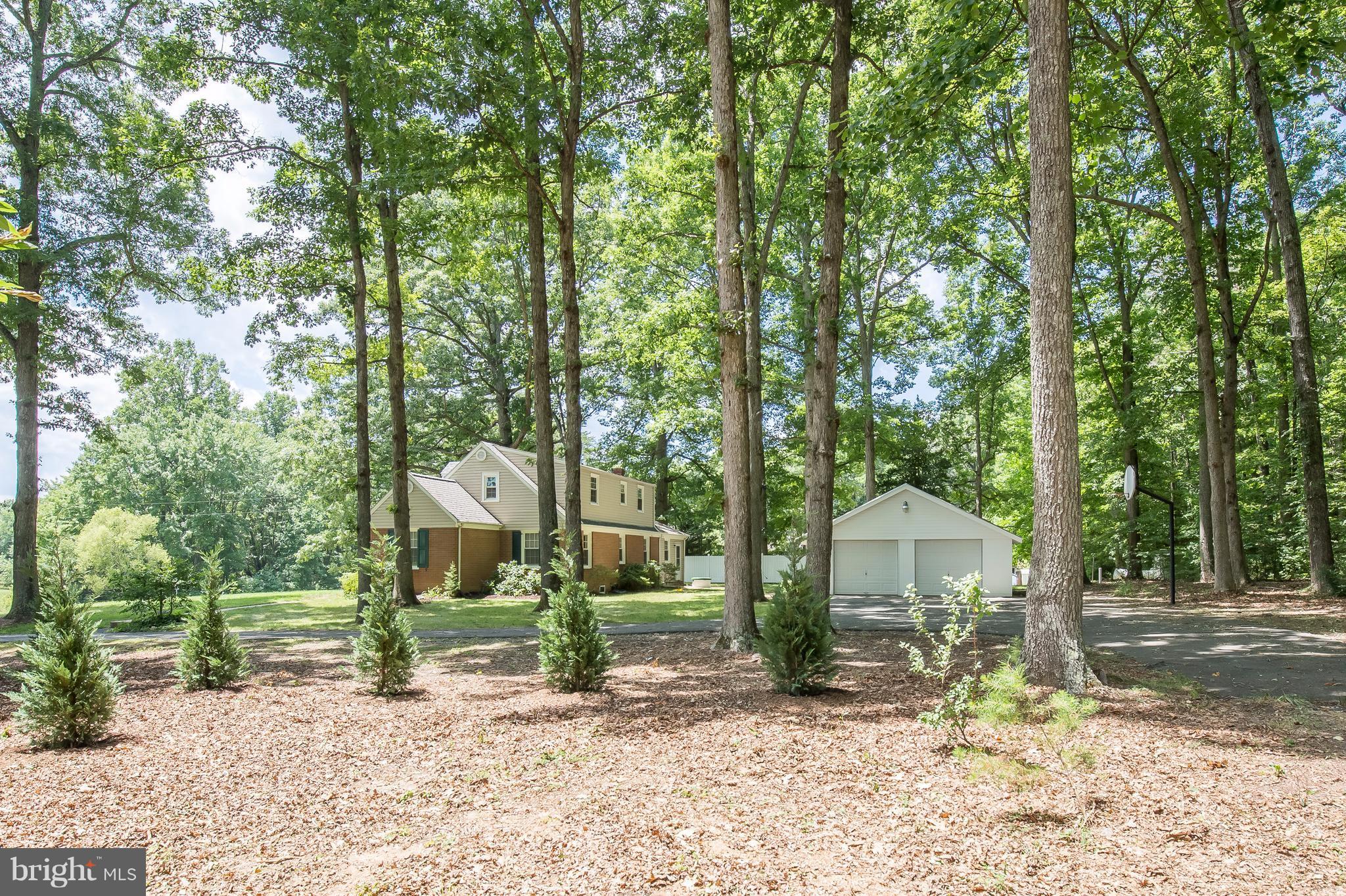 8501 Brock Road Spotsylvania, VA 22553 - Photo 22 of 22 Exterior (Rear)