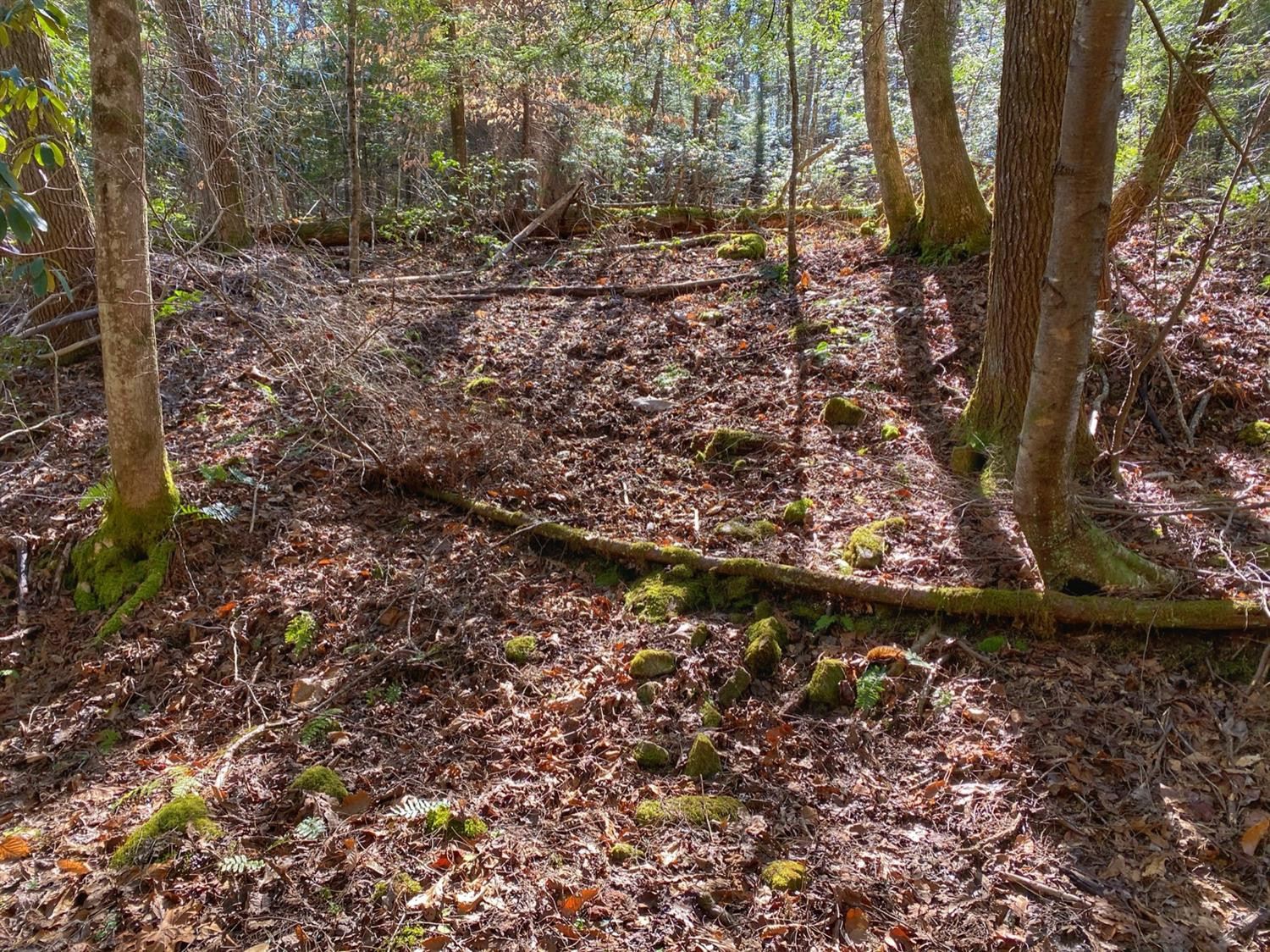 1 Sandy Ridge Road Campton, KY 41301 - Photo 22 of 33 Photo 22