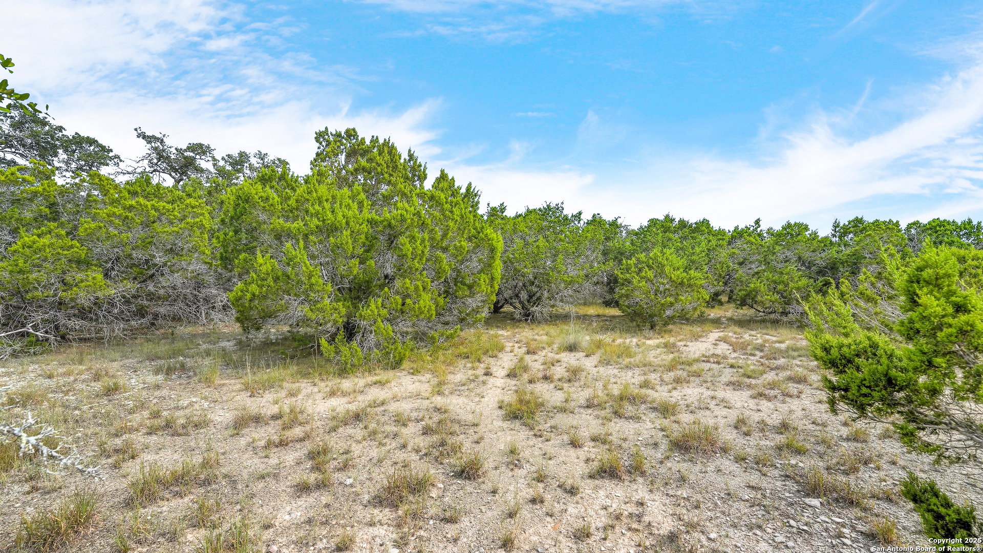 326 Vista View Place Spring Branch, TX 78070 - Photo 3 of 15
