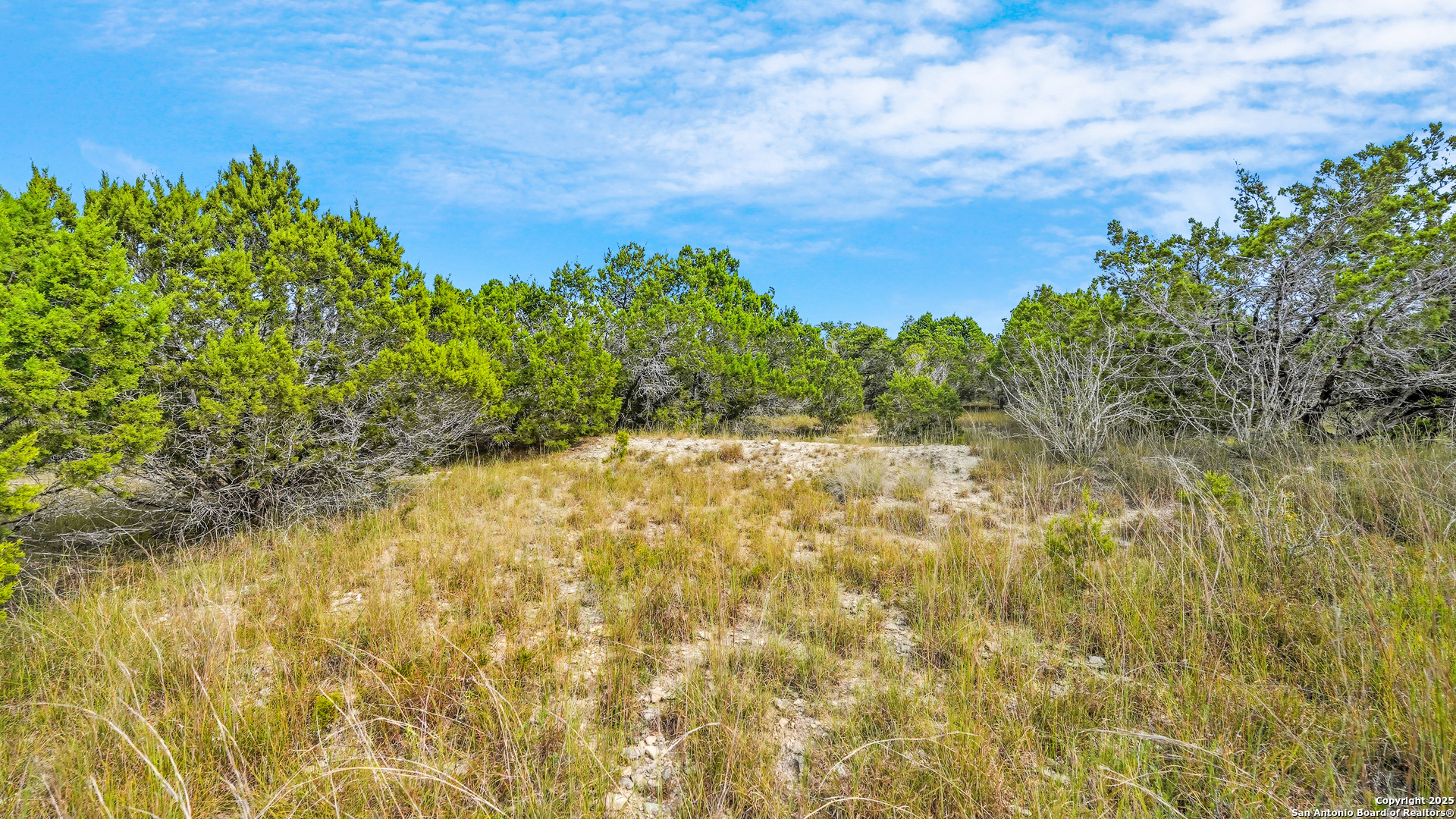 326 Vista View Place Spring Branch, TX 78070 - Photo 4 of 15