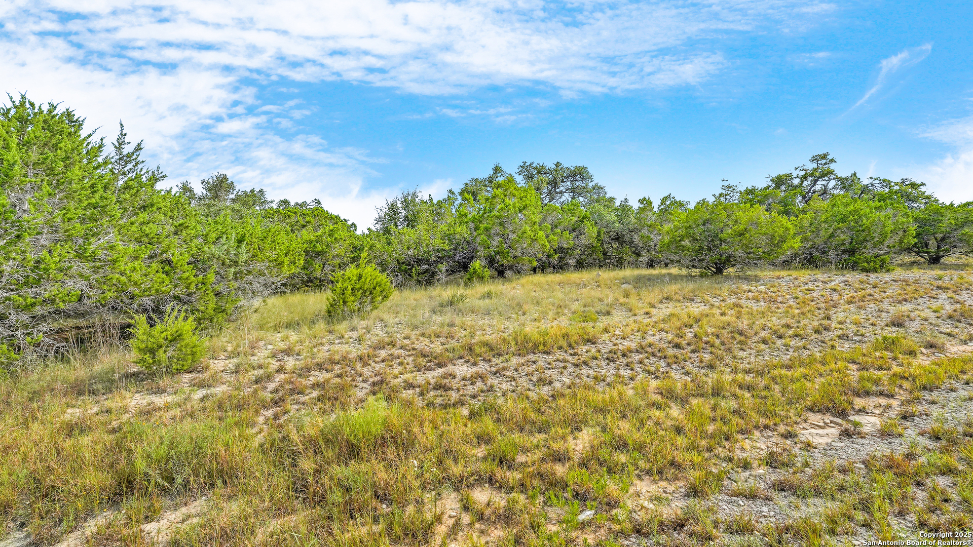 326 Vista View Place Spring Branch, TX 78070 - Photo 7 of 15