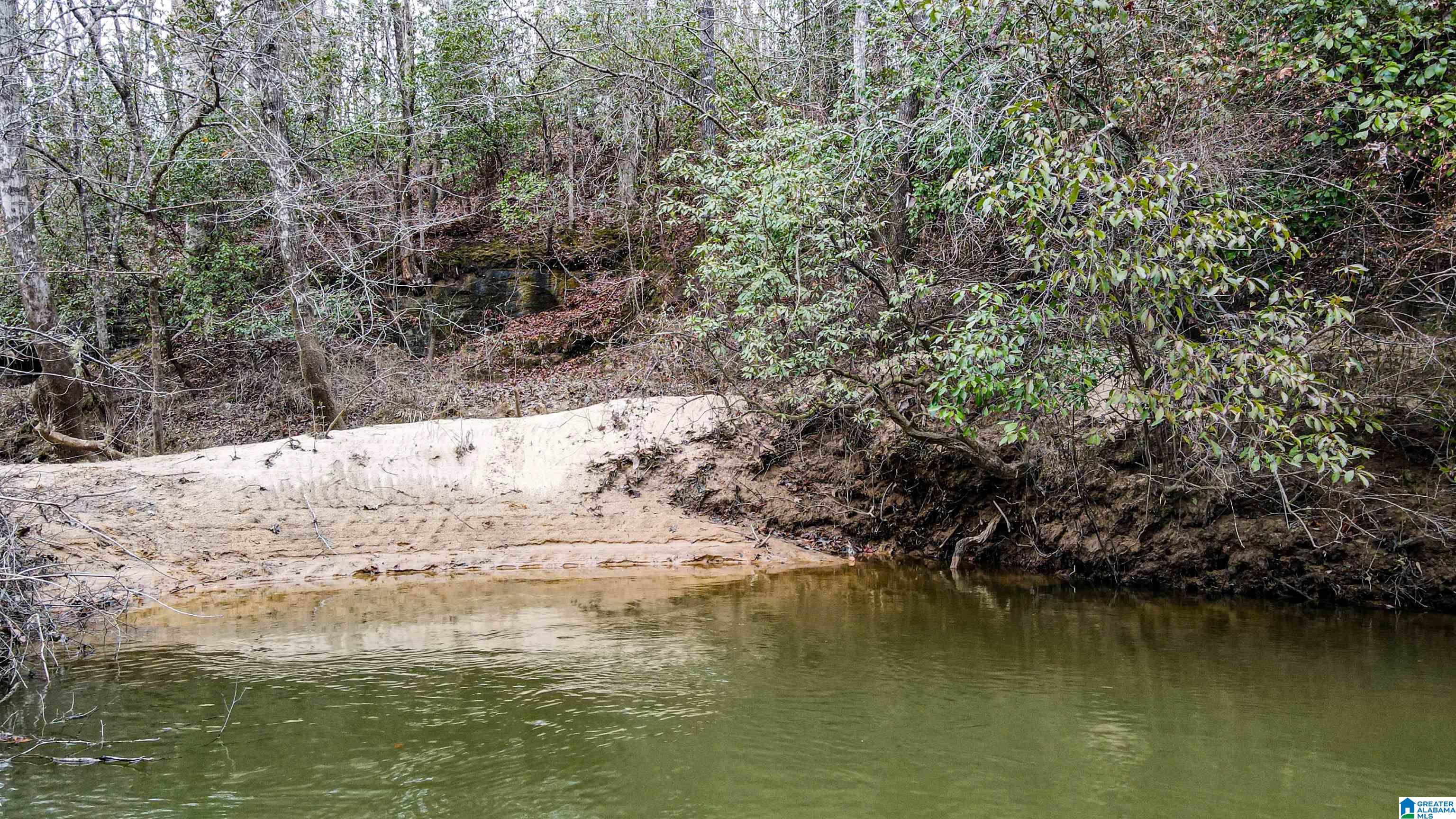 339 County Road Nauvoo, AL 35578 - Photo 24 of 57
