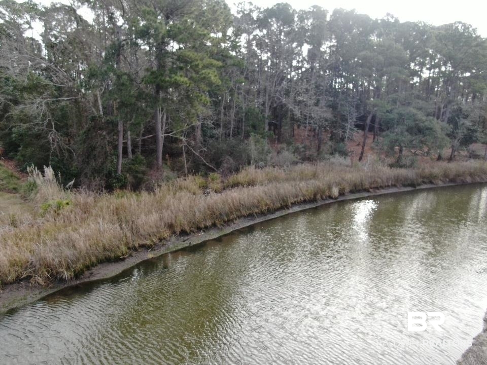 Riverview Nursery Road Theodore, AL 36582 - Photo 1 of 24