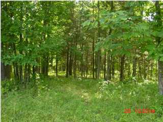 5 Meador Mt Road Shepherdsville, KY 40165 - Photo 1 of 1 Primary Photo